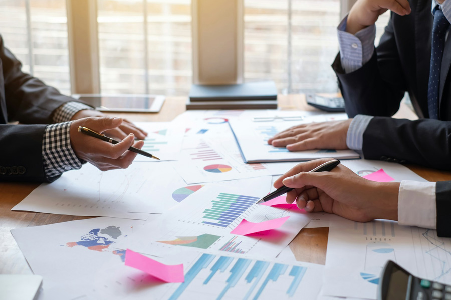 Gestione della pianificazione finanziaria ed economica microimprese